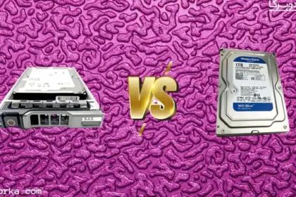 SAS VS SATA