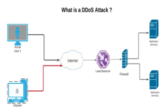 حملات DDoS چیست